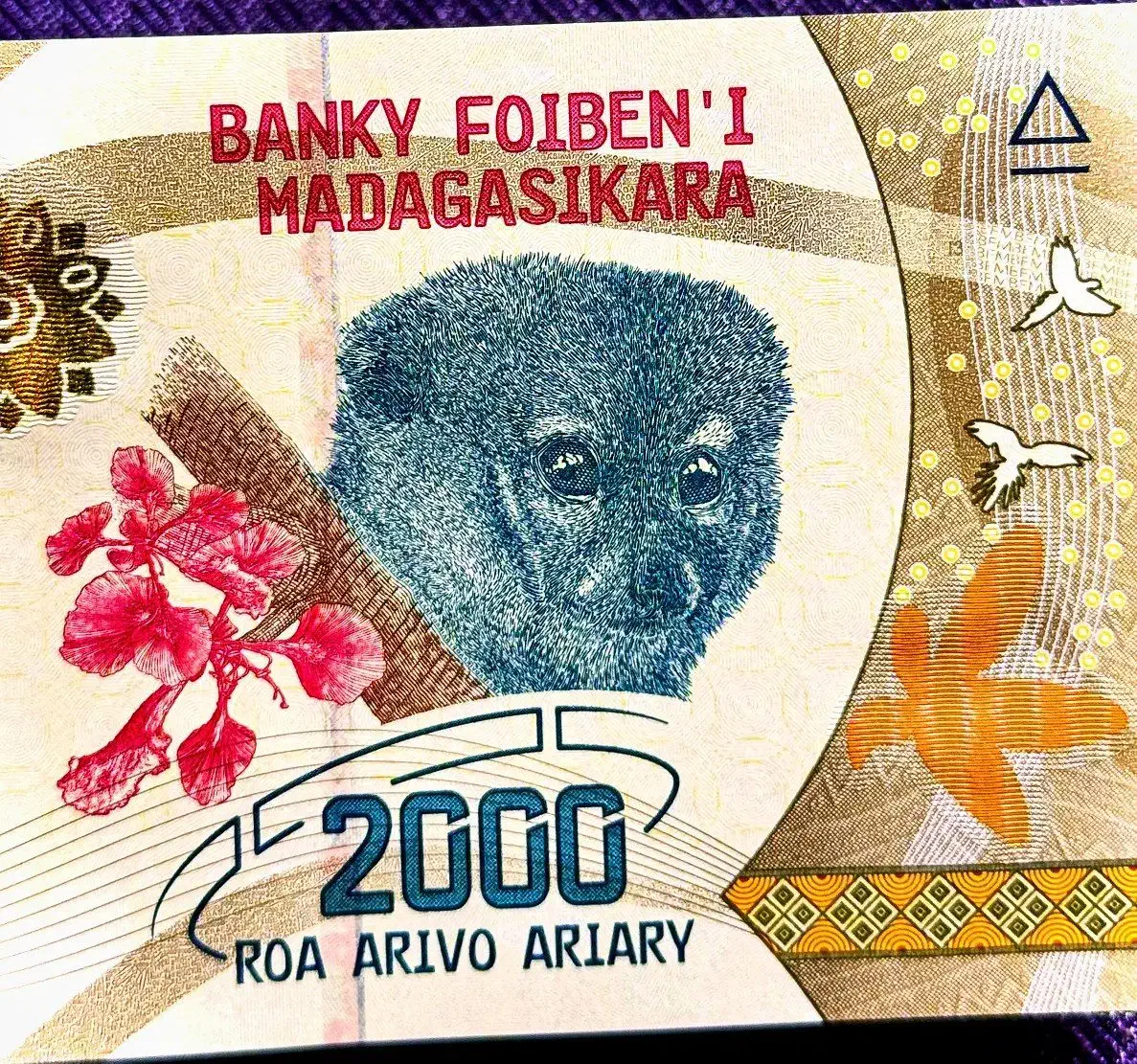 اسکناس 2000 آریاری ماداگاسکار|کلکسیون سکه، تمبر، اسکناس|بندرعباس, |دیوار