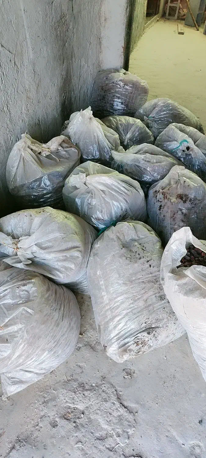 خرمای خشک سلنگ|حیوانات مزرعه|تخت, |دیوار