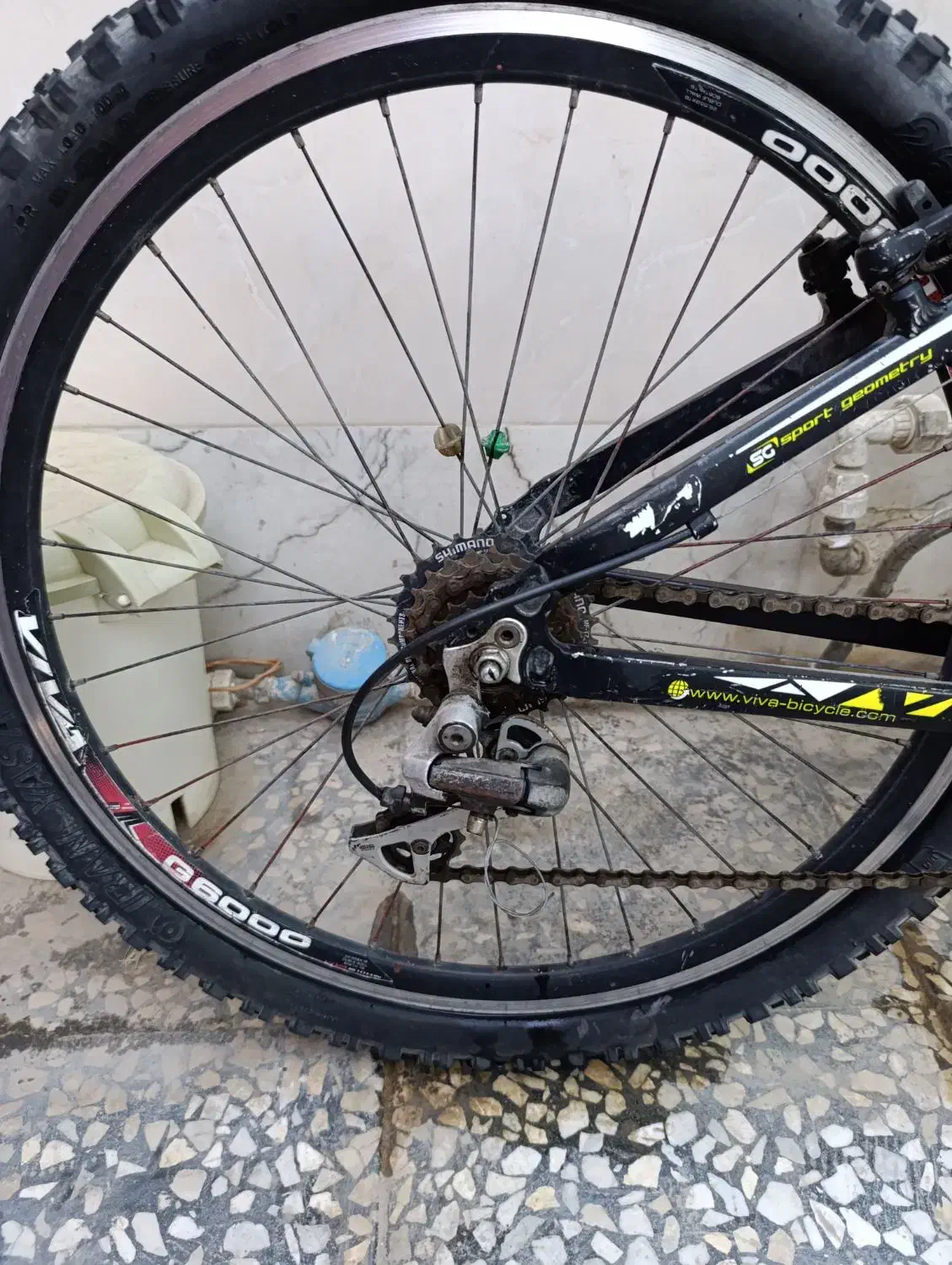 دوچرخه ویوا 26|دوچرخه، اسکیت، اسکوتر|گنبد کاووس, |دیوار