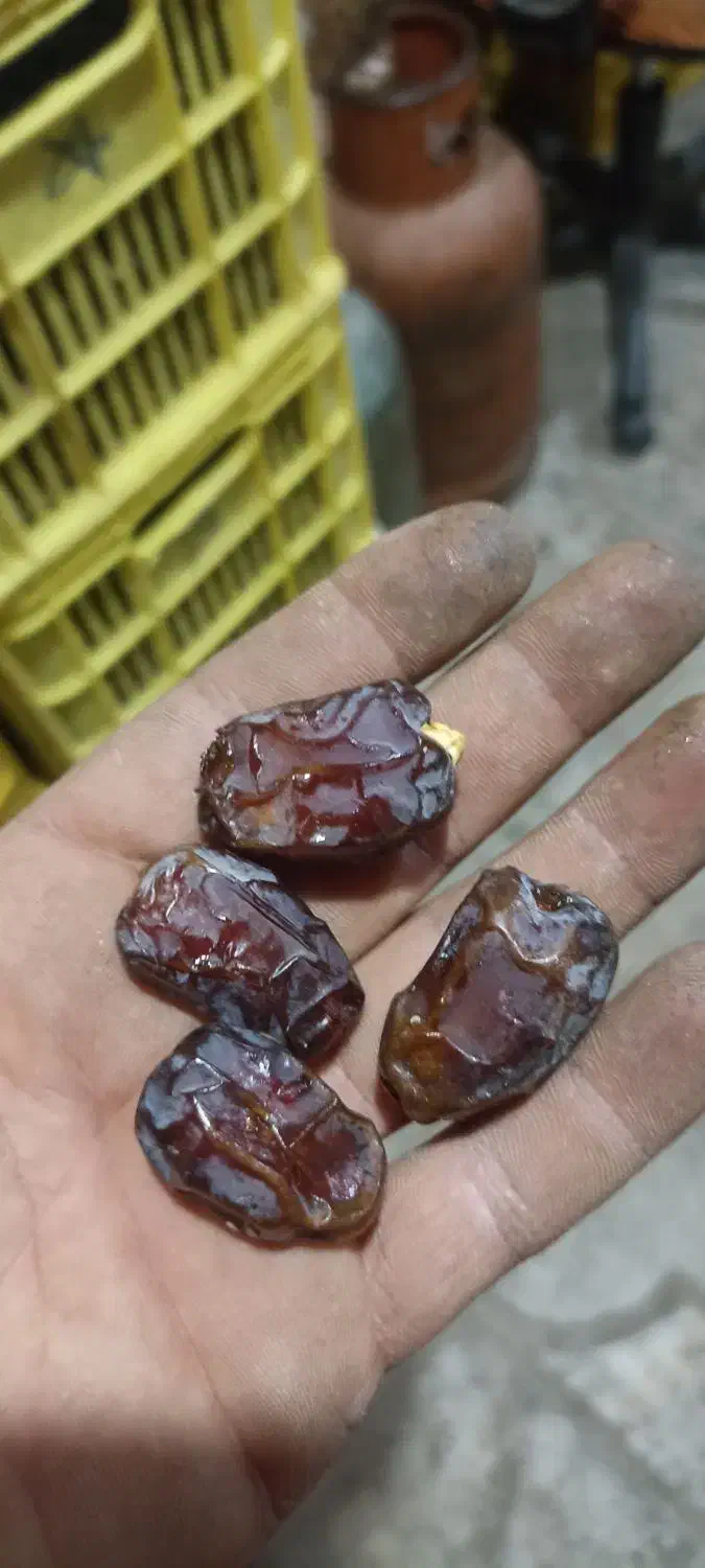 خاصوی|خوردنی و آشامیدنی|بندرعباس, |دیوار