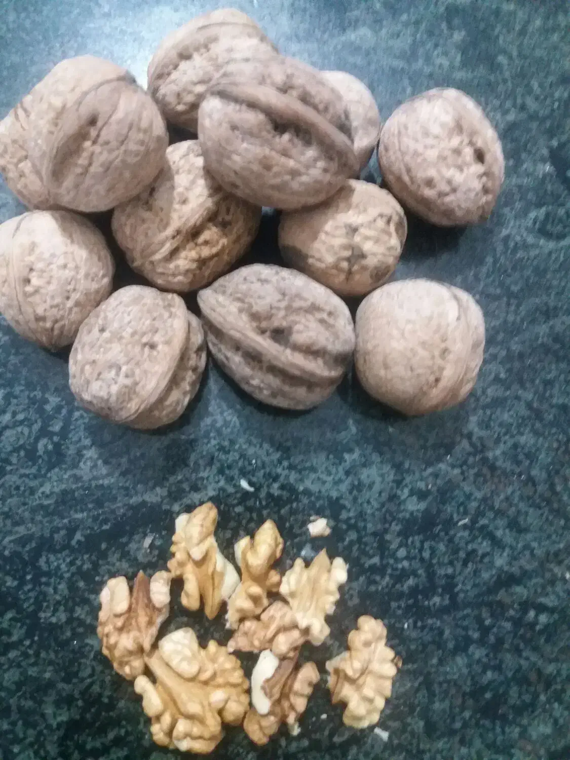 گردو|خوردنی و آشامیدنی|پاوه, |دیوار