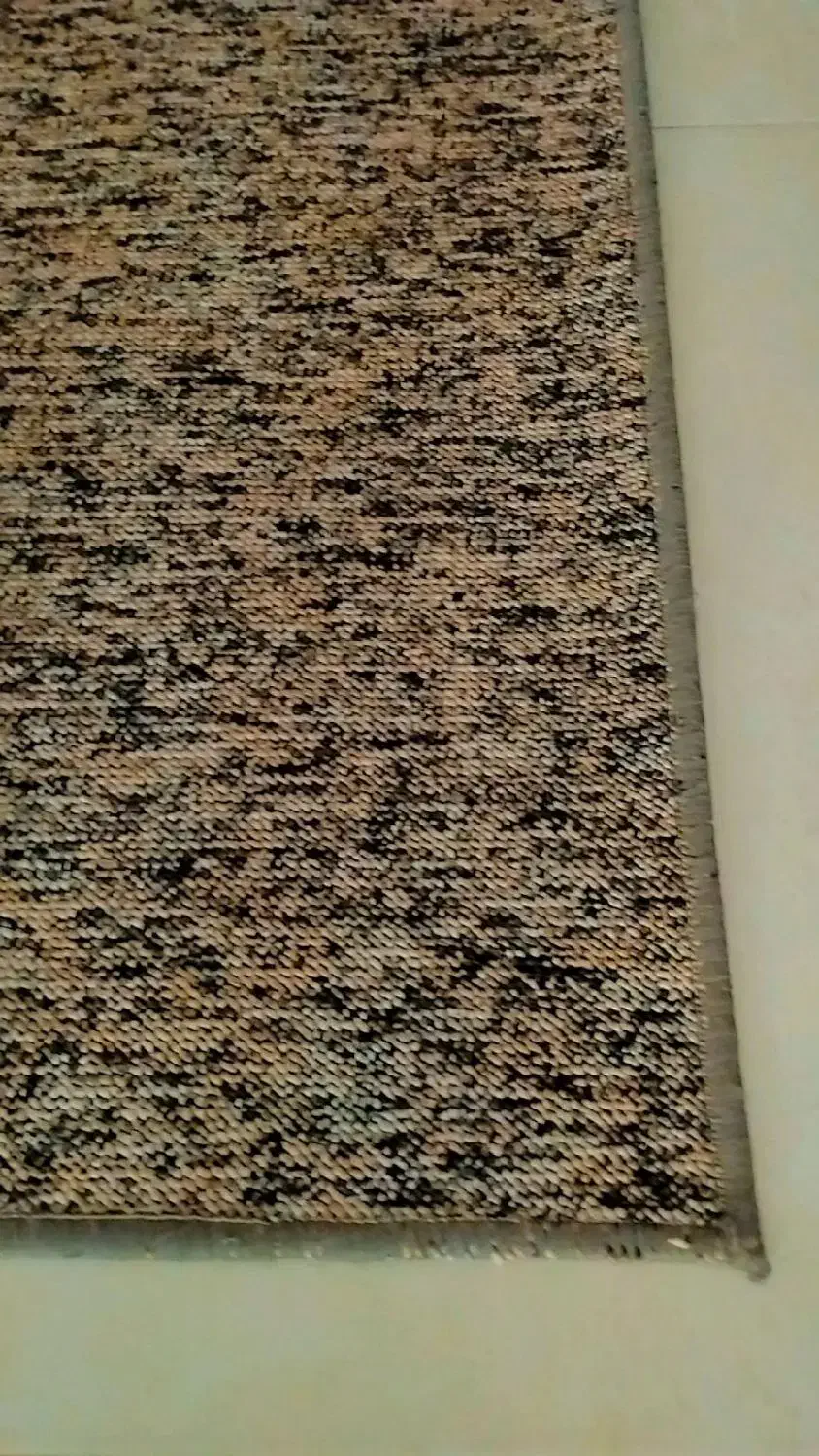 موکت سالم ودرحدنو پالاز|موکت|فردیس, قریشی|دیوار