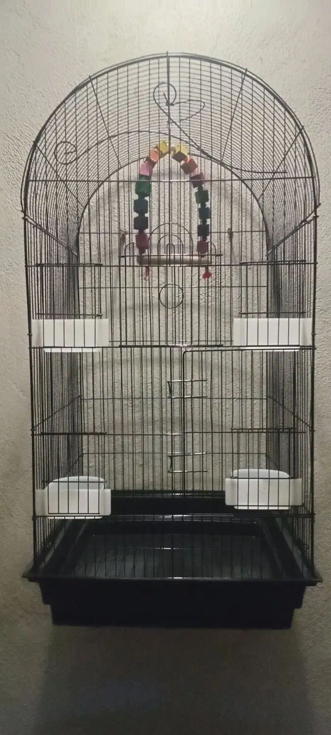 قفس پرندگان|لوازم جانبی حیوانات|بهشهر, |دیوار