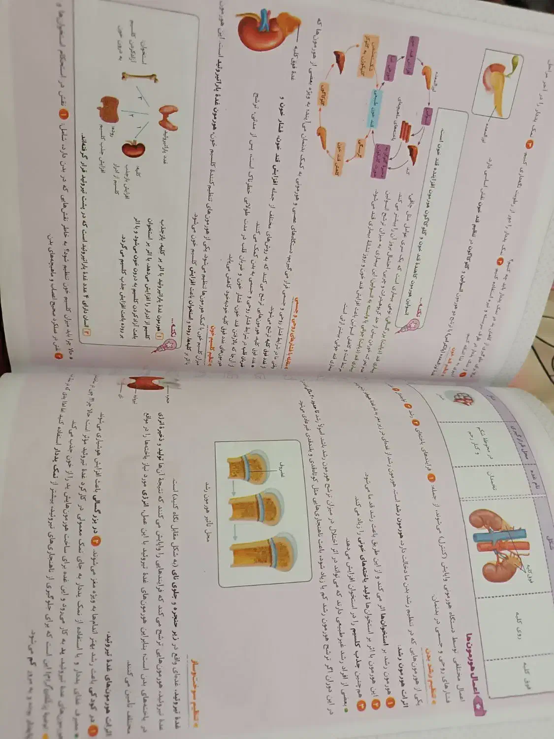 کتاب خیلی سبز جامع ماجراهای من و درسام هشتم|کتاب و مجله آموزشی|تهران, تهرانسر غربی|دیوار