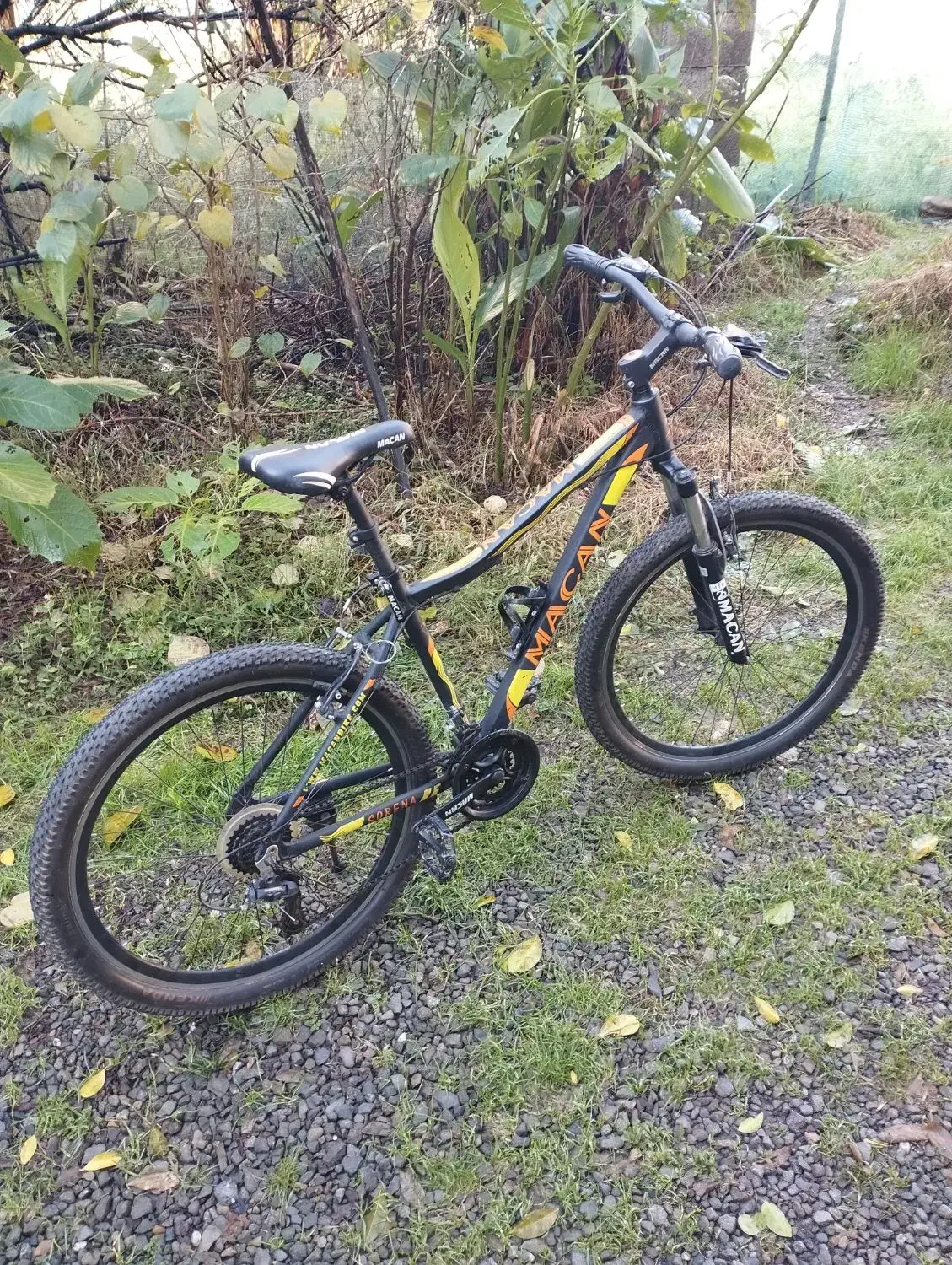 دوچرخه تمام حرفه ای سایز۲۶|دوچرخه، اسکیت، اسکوتر|لاهیجان, شیشه گران|دیوار