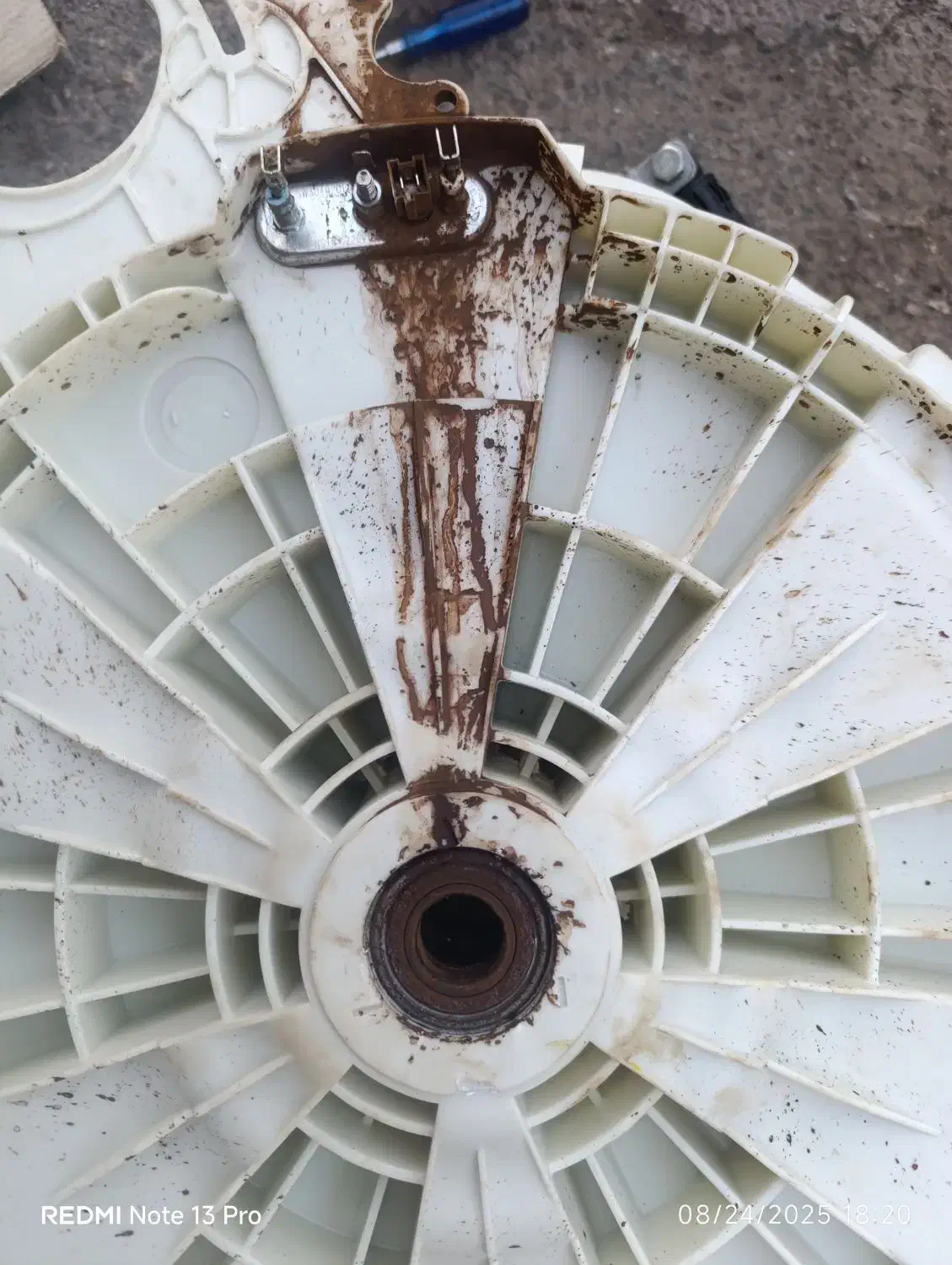 تعمیرات تخصصی انواع لباسشویی و یخچال فریزر|خدمات پیشه و مهارت|سمنان, |دیوار