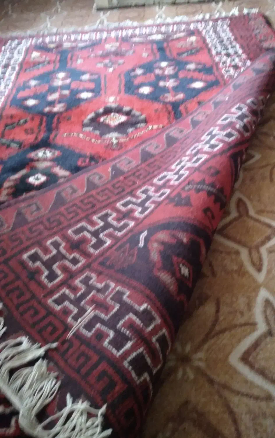 قالی دست بافت محلی|فرش|شوشتر, |دیوار