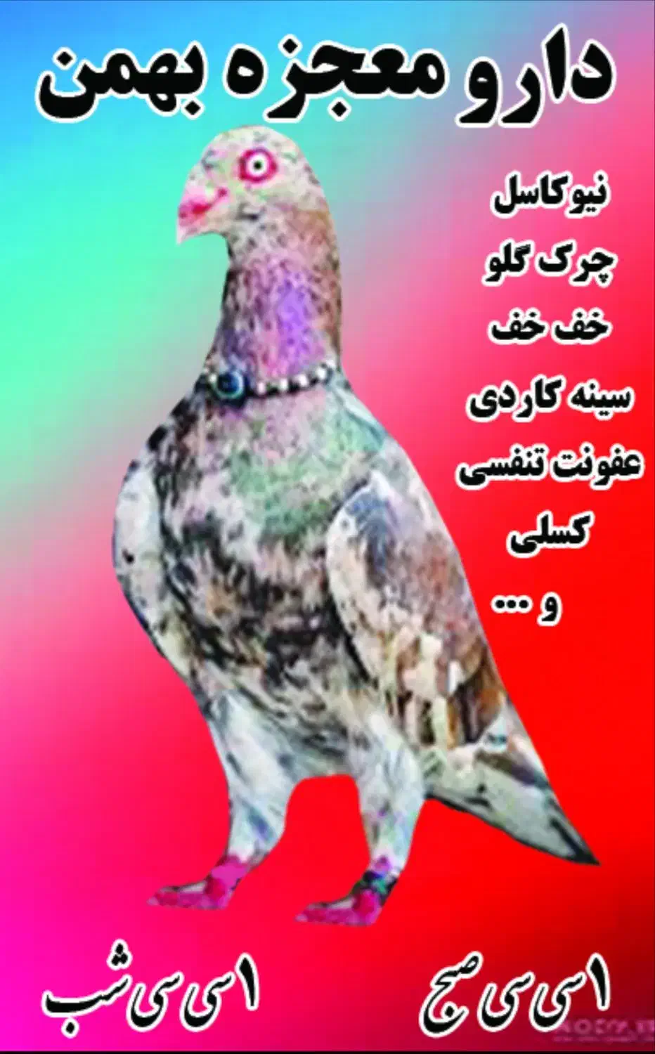 دان لوازم دارو پرنده کبوتر|لوازم جانبی حیوانات|مشهد, ابوذر|دیوار