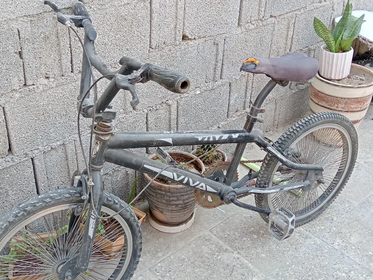 دچرخه سالم|دوچرخه، اسکیت، اسکوتر|خورموج, |دیوار