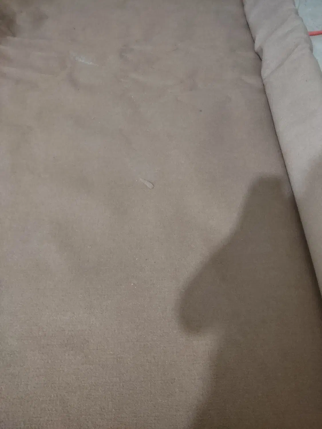 موکت کاملا سالم|موکت|ارومیه, |دیوار