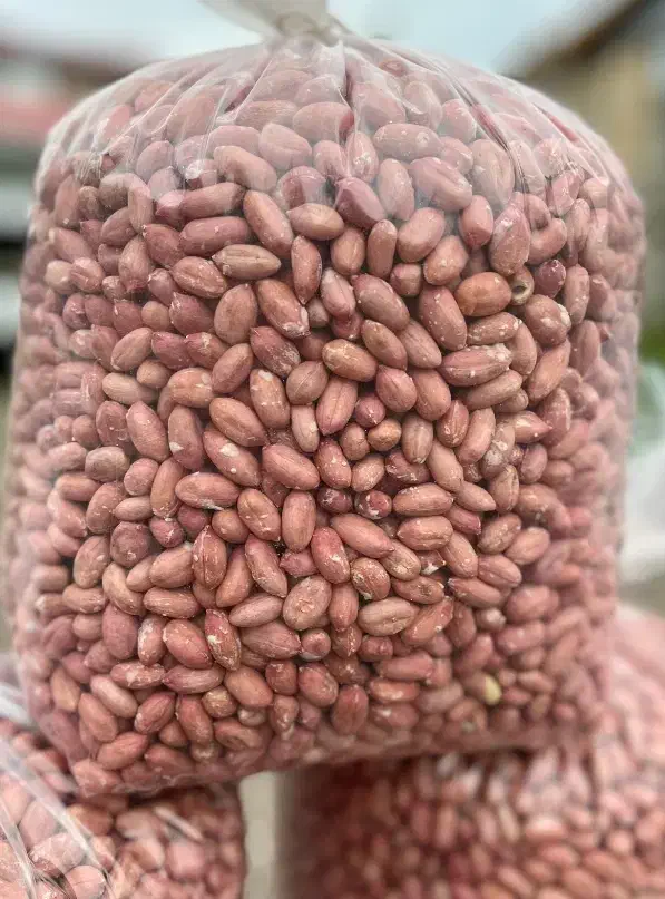 برنج چای بادام|خوردنی و آشامیدنی|بندرعباس, |دیوار
