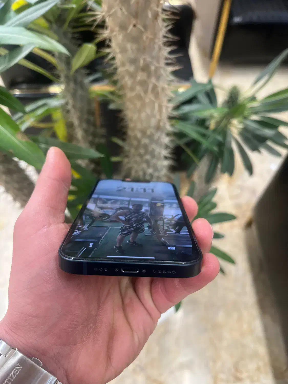 ایفون ۱۳ (درحد آکبند)|موبایل|فردیس, منظریه|دیوار