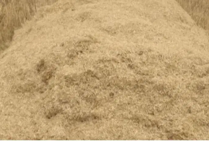 کاه گندم درجه ۱|حیوانات مزرعه|سیلاخور, |دیوار