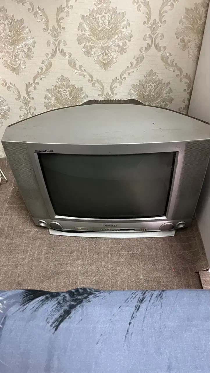 تلویزیون ۲۱ اینچ|تلویزیون و پروژکتور|رشت, جانبازان|دیوار