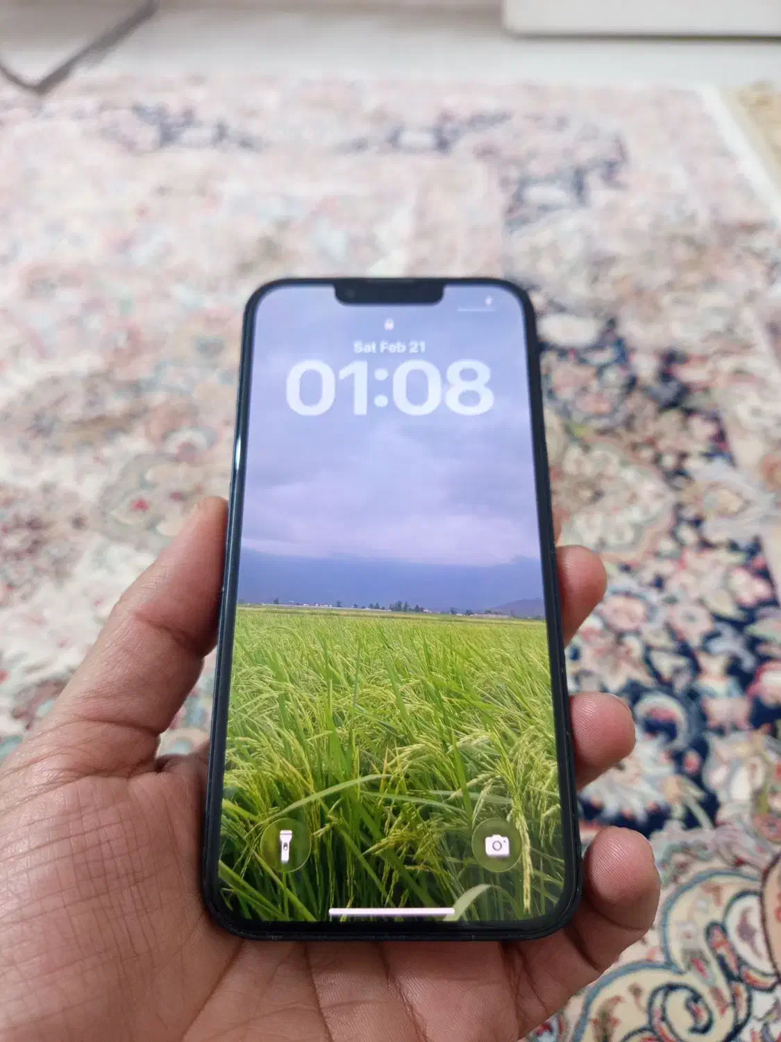 آیفون 13 Normal|موبایل|مشهد, الهیه|دیوار