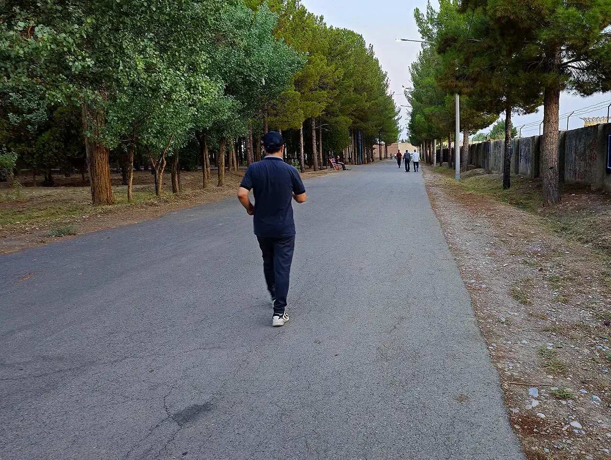 همراه ....واسه پیاده روی و گفتگو|فعالیت داوطلبانه تحقیقاتی|شاهین‌شهر, طالقانی|دیوار