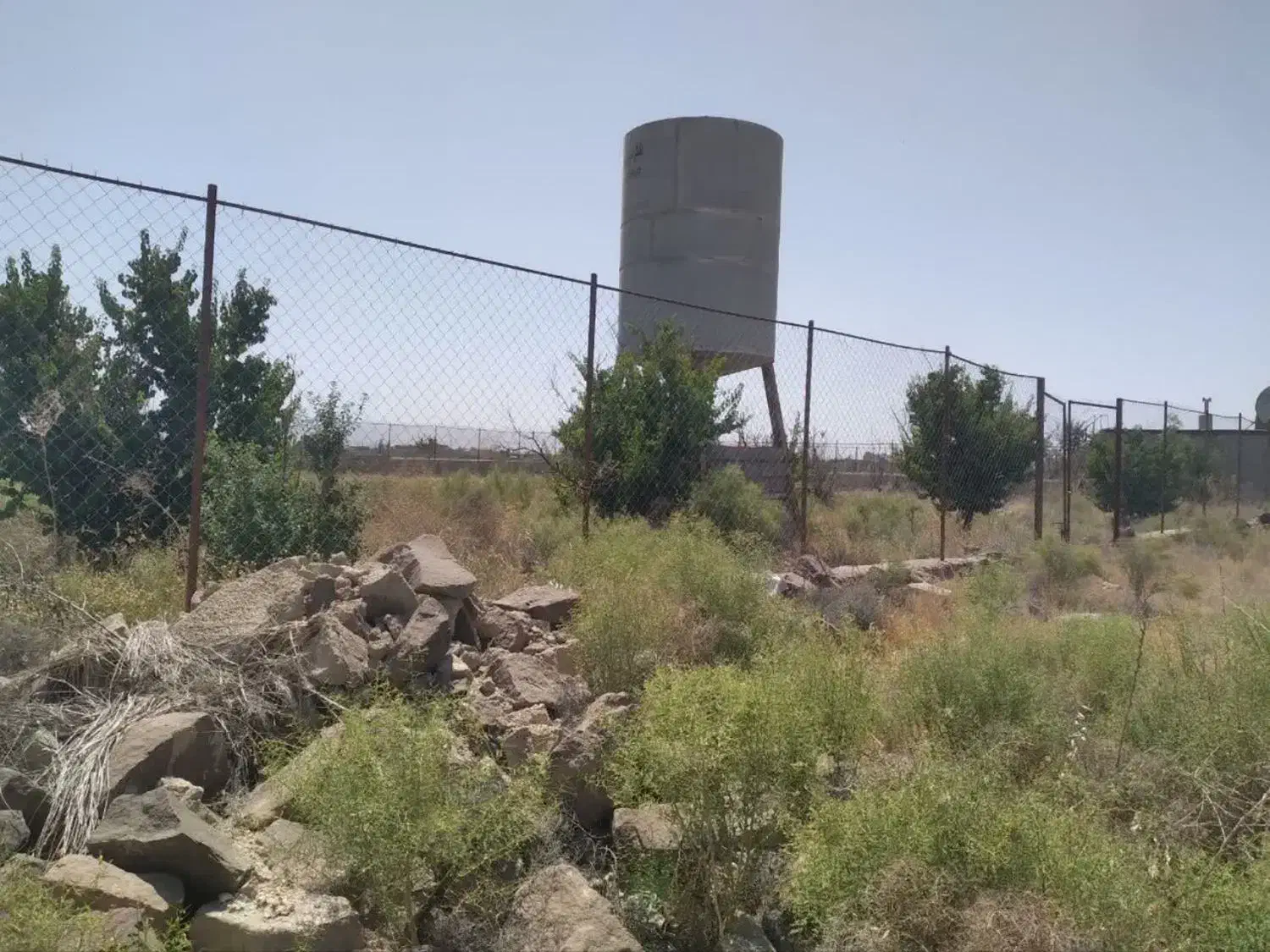 ۱۰۰۰مترزمین باغی محصور|فروش زمین و ملک کلنگی|گلبهار, نوبهار|دیوار