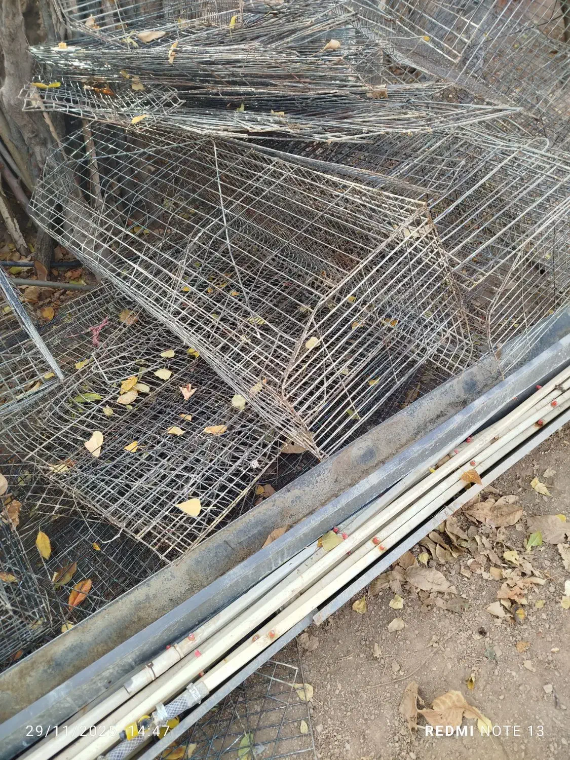 قفس مرغ|لوازم جانبی حیوانات|خرمدره, |دیوار