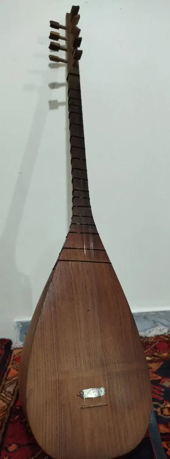 ساز قوپوز|سازهای سنتی|ورزقان, |دیوار