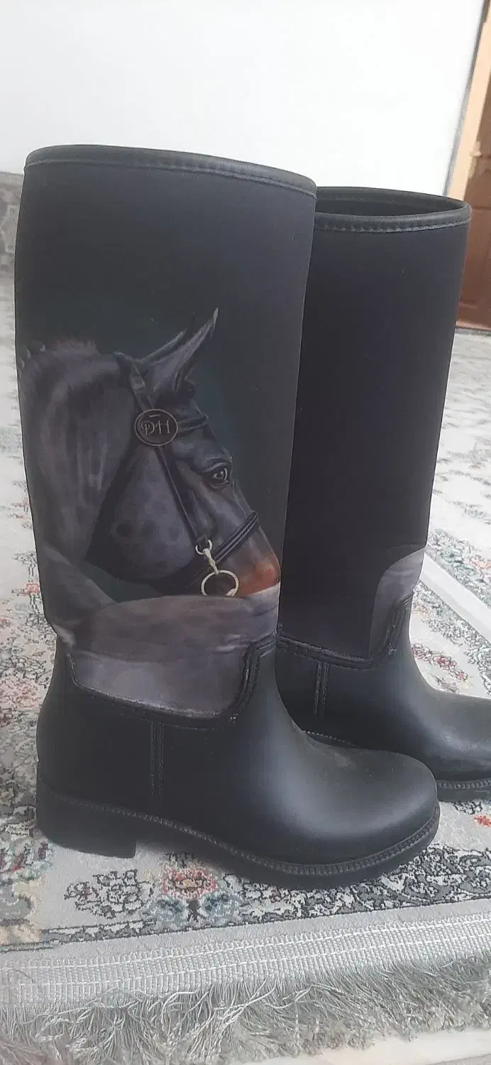 کفش اسب سواری|اسب و تجهیزات اسب‌سواری|سنندج, |دیوار