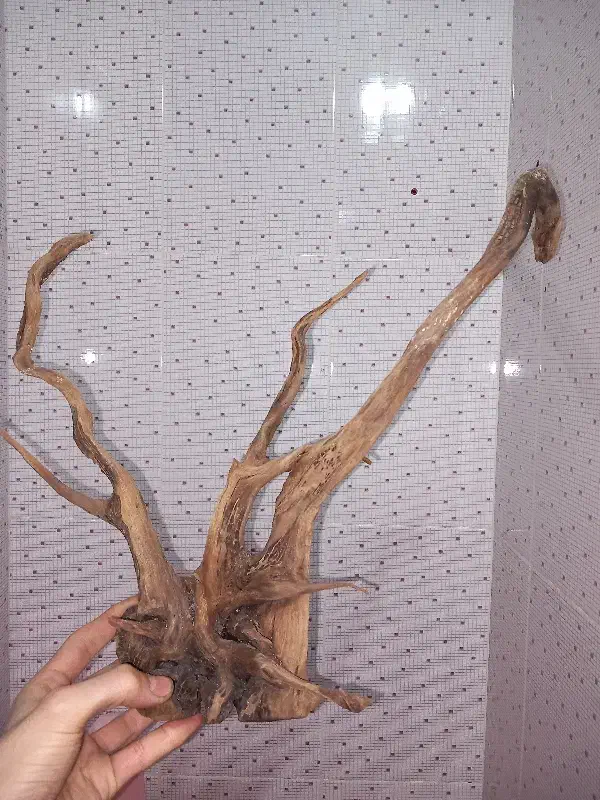 کمد دراور|جاکفشی، کمد، دراور|اردبیل, |دیوار