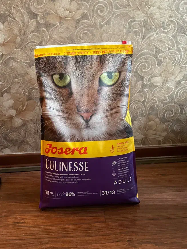 غذای خشک گربه|لوازم جانبی حیوانات|تهران, شیخ هادی|دیوار