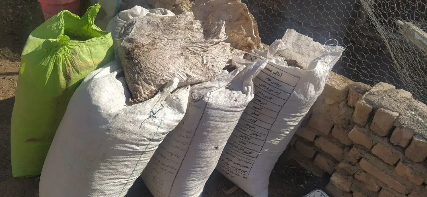 کود مرغی|گل و گیاه طبیعی|تاکستان, |دیوار