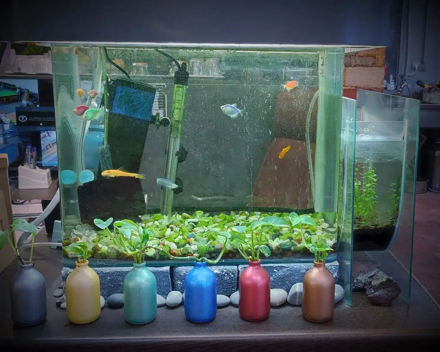 آکواریوم به همراه قرنطینه و کلیه لوازم|ماهی|نور, |دیوار