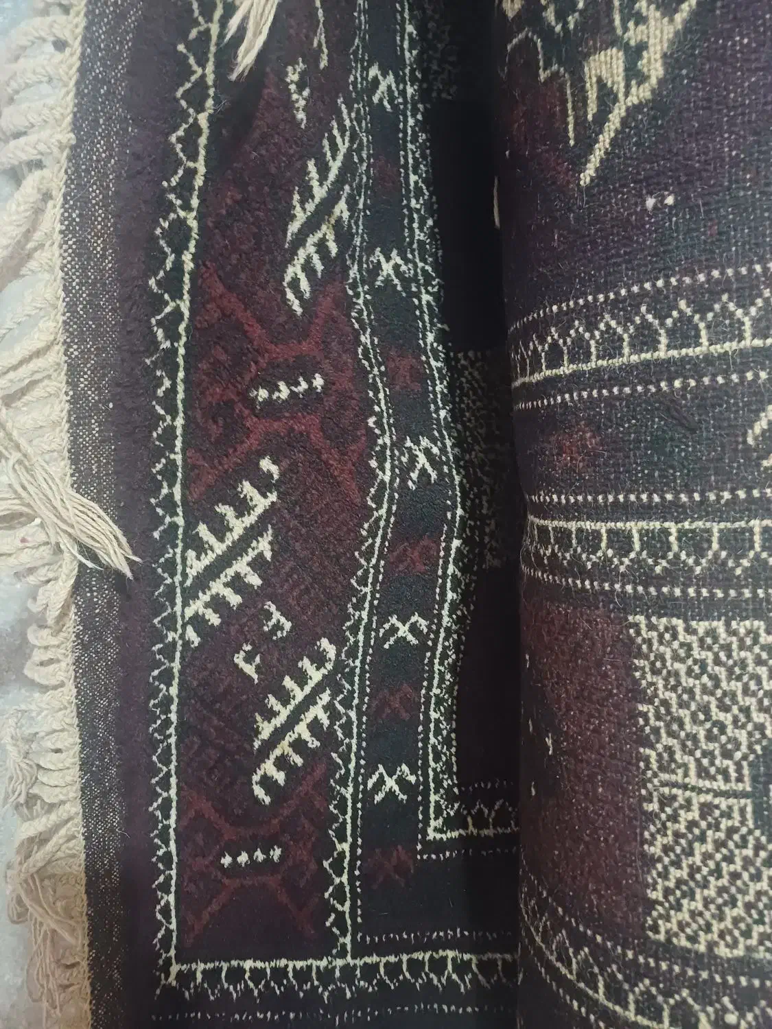 فرش دستبافت ترکمنی|فرش|گنبد کاووس, |دیوار