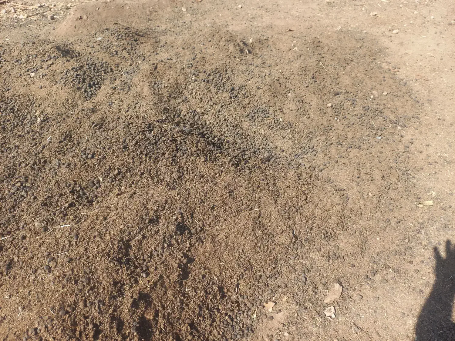 کود حیوانی گوسفند|خدمات باغبانی و درختکاری|یاسوج, |دیوار