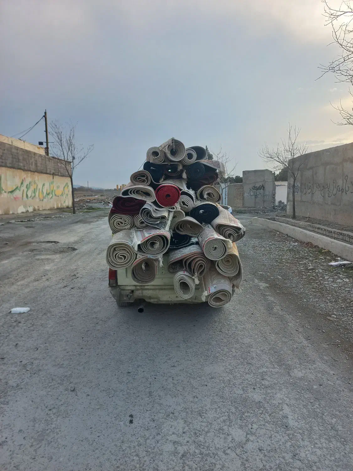 قالیشویی ومبلشویی مشکین دشت سرویس دهی به کل کرج|خدمات نظافت|محمدشهر, محمدشهر|دیوار