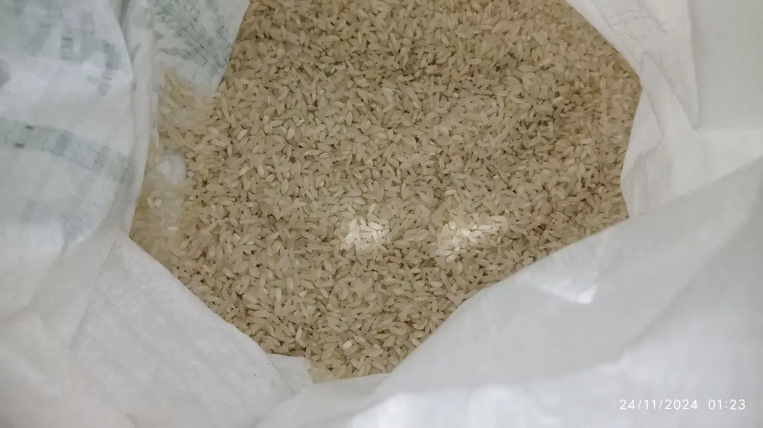 برنج چمپای خانمیرزا(آلونی)|خوردنی و آشامیدنی|لردگان, |دیوار