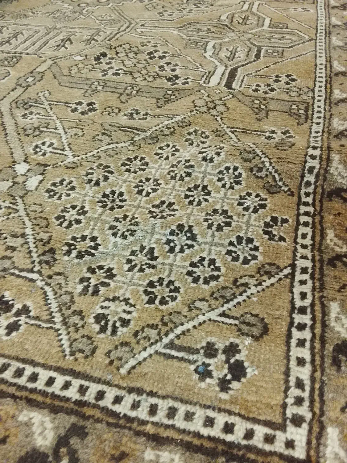 دو تا فرش12و3متری قدمت قاجار دست بافت|فرش|لواسان, |دیوار