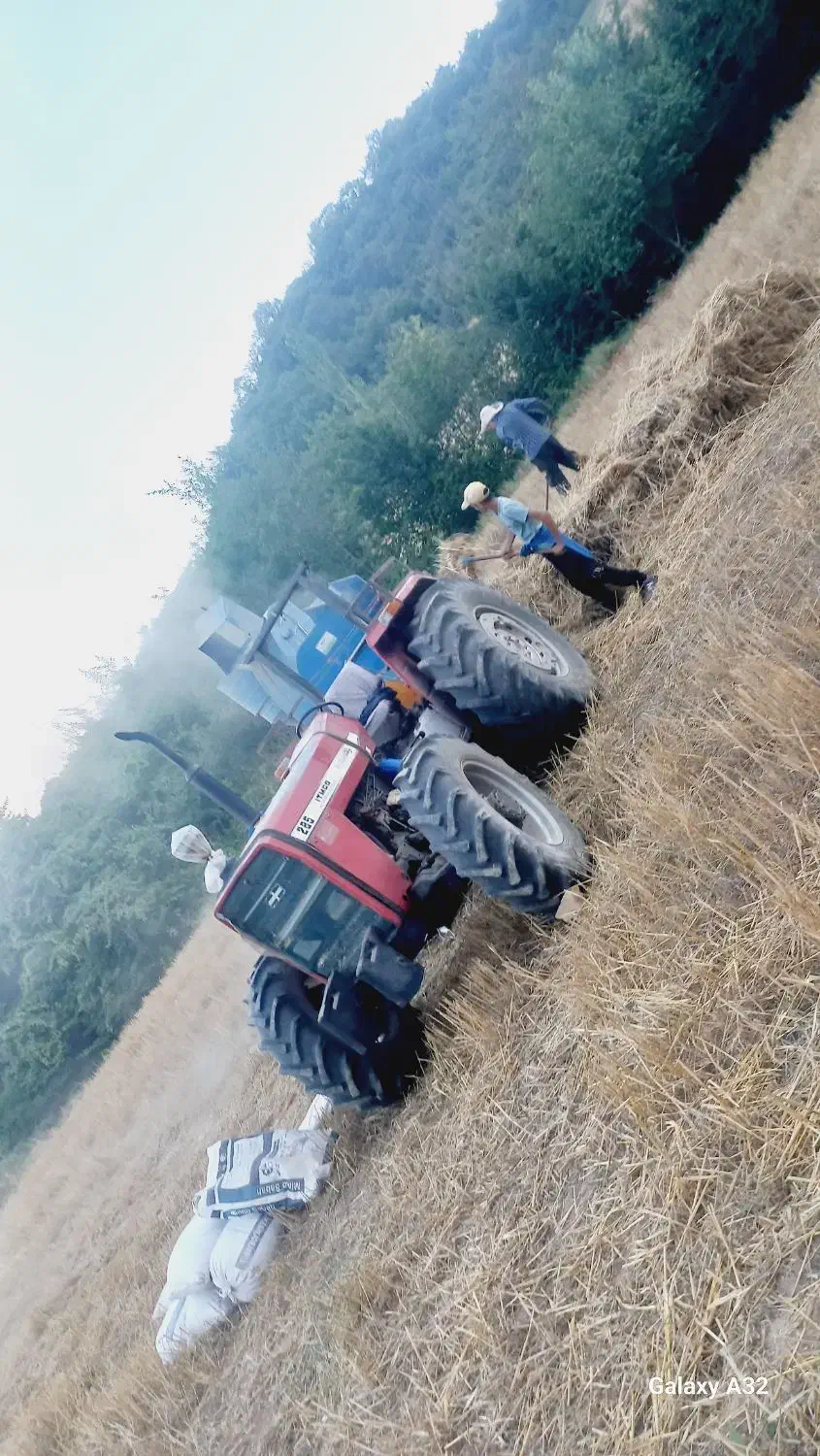 تراکتور و خرمن کوب|خودرو سنگین|مینودشت, |دیوار