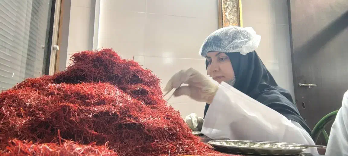 تعاونی زعفران ( عمده وجزء)|عمده‌فروشی|تهران, شهرک صدرا|دیوار