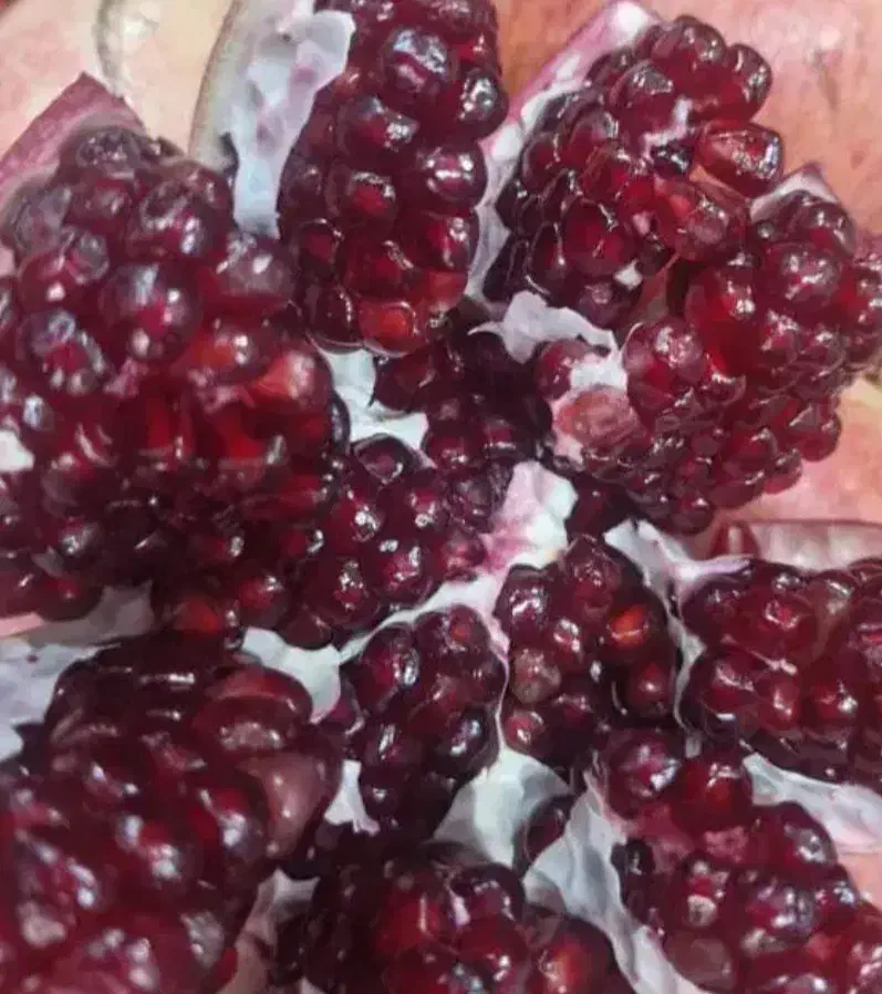 میوه پاییزی|خوردنی و آشامیدنی|فسارود, |دیوار