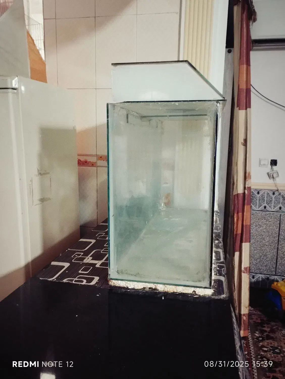 آکواریوم|ماهی|زابل, |دیوار