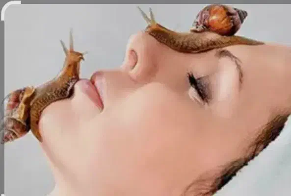 جوانسازی تضمینی صورت با حلزون تراپی+ ماسک خاویار|خدمات آرایشگری و زیبایی|هشتگرد, هشتگرد قدیم|دیوار