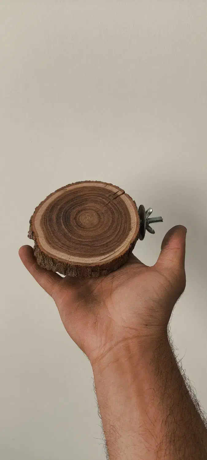 چوب نشیمن طوطی لوازم پرنده|لوازم جانبی حیوانات|قم, انصار‌الحسین|دیوار