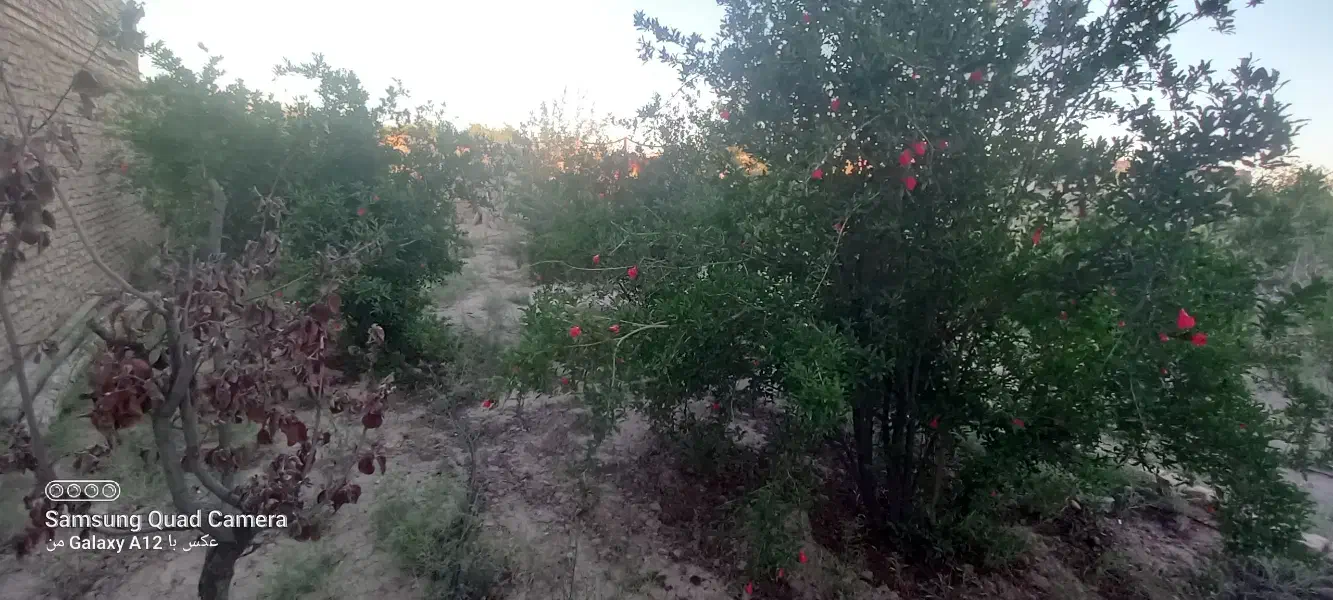 چهار دیواری فروشی|فروش زمین و ملک کلنگی|جوادآباد, |دیوار