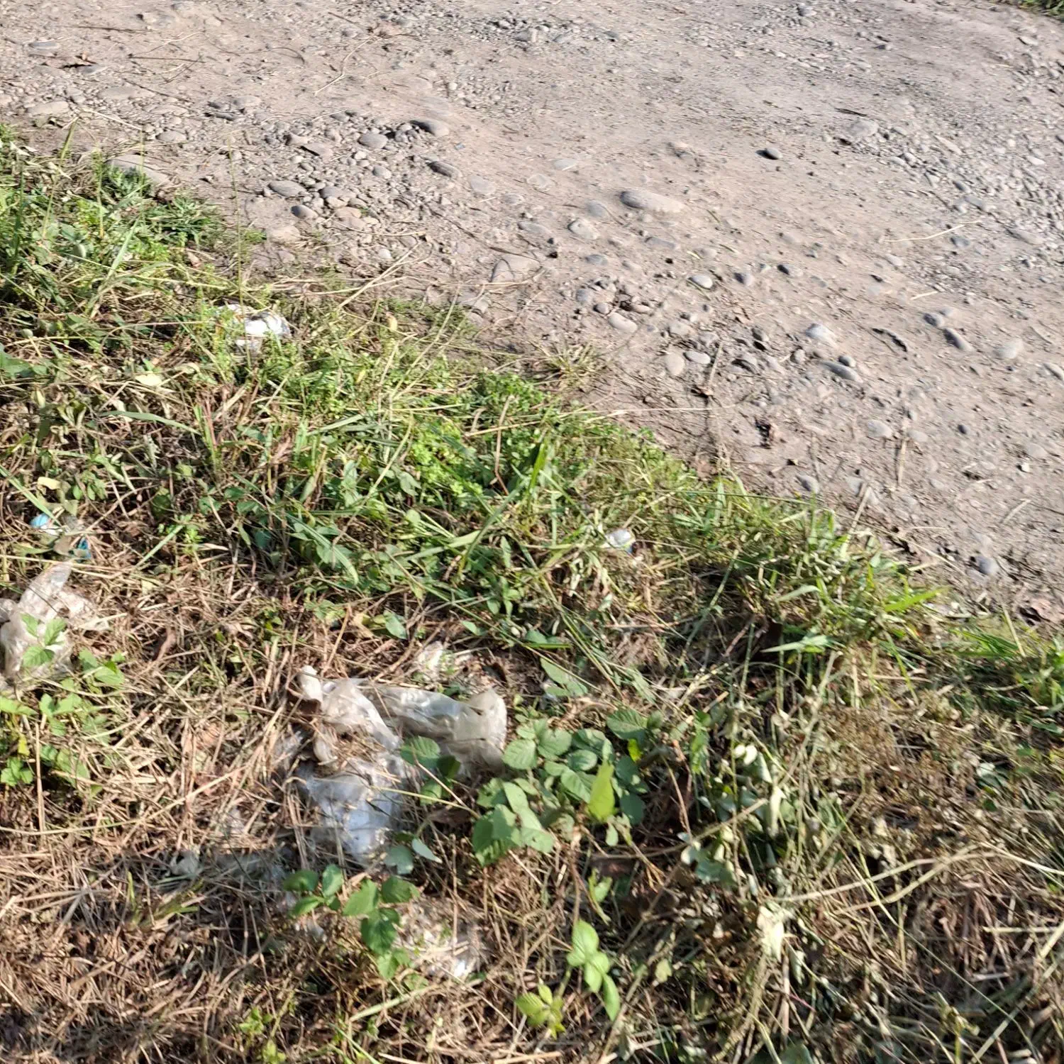 فروش زمین کامل مسکونی با نامه مسکونی|فروش زمین و ملک کلنگی|کوچصفهان, |دیوار