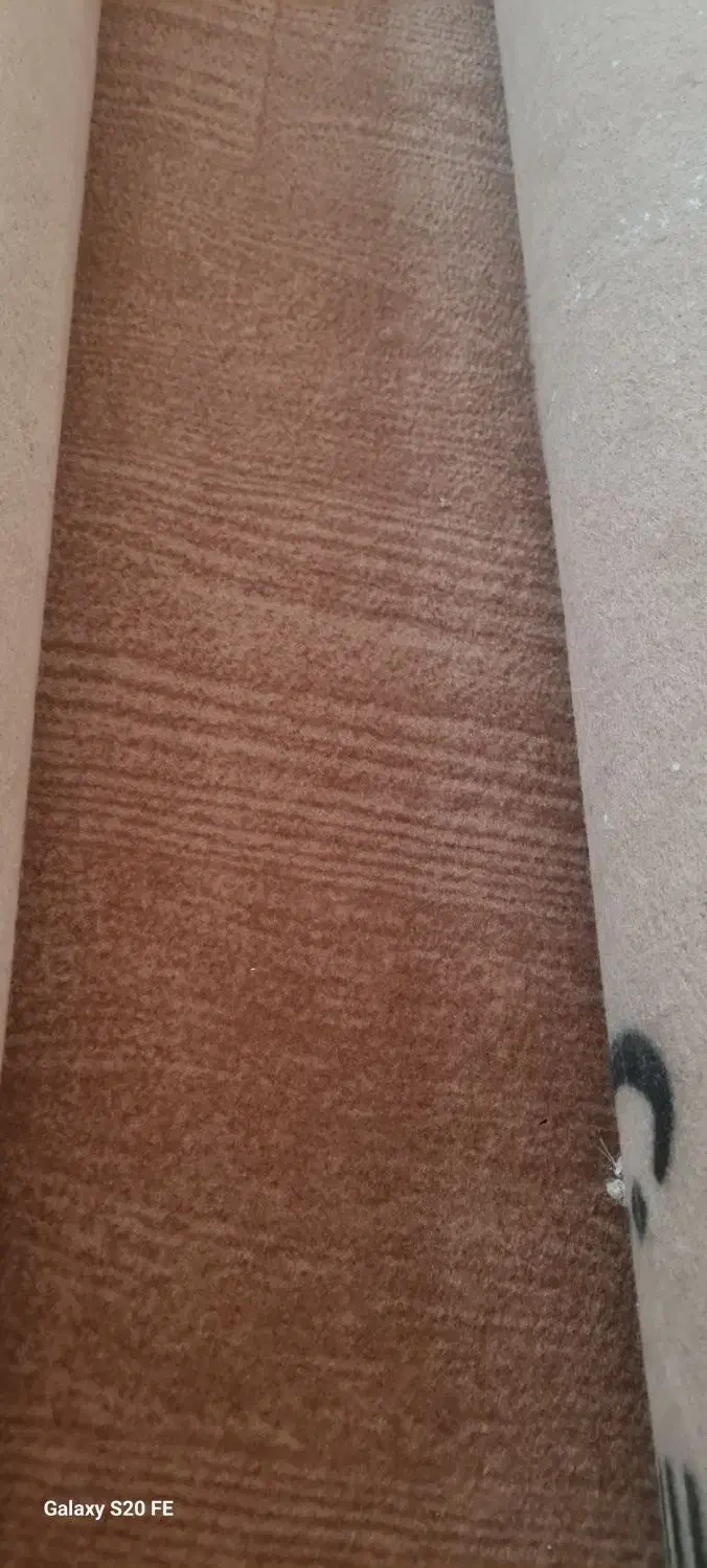۸۵ متر موکت تمیز|موکت|امیدیه, |دیوار