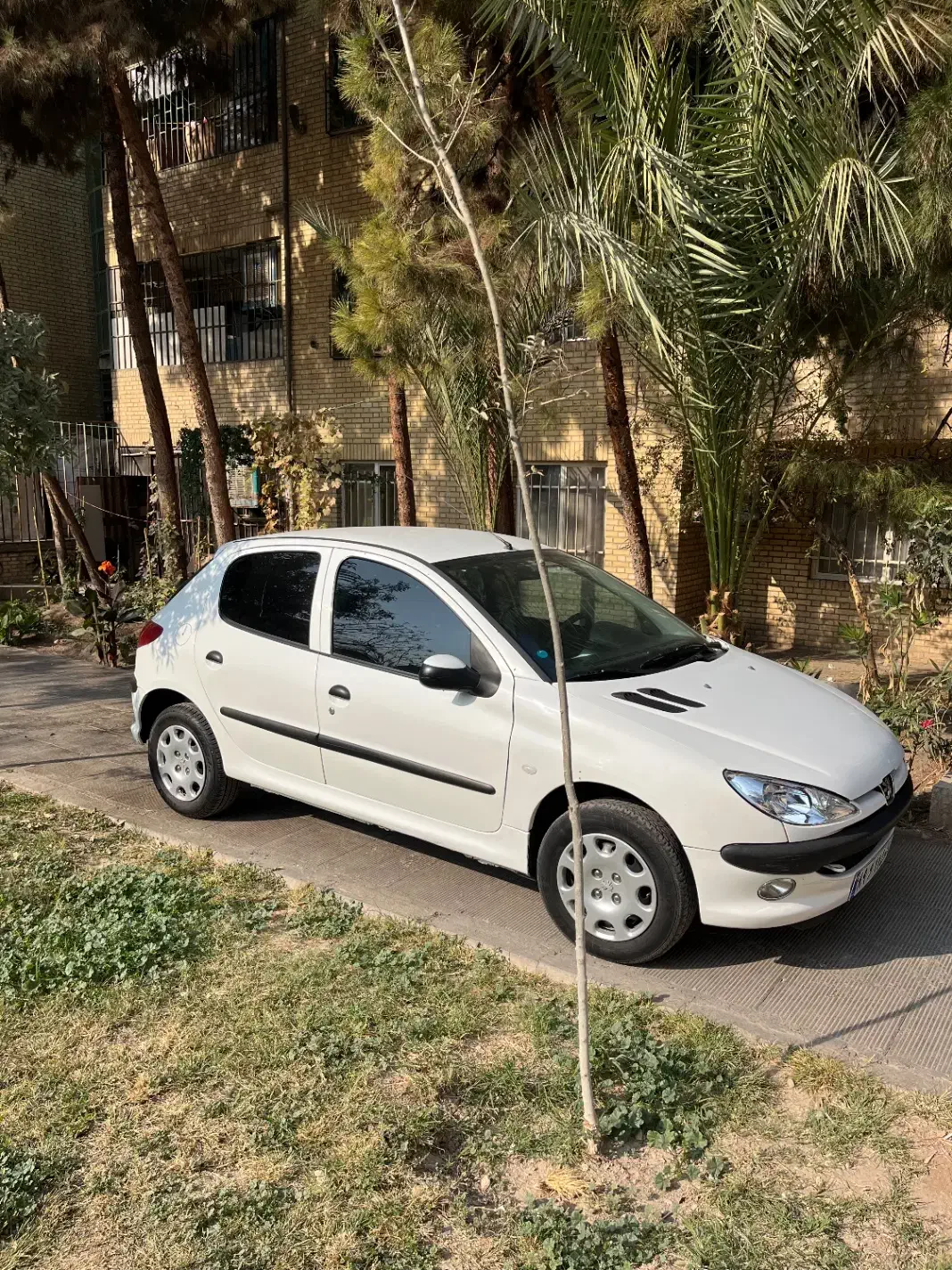 ۲۰۶تیپ ۵مدل ۹۲|خودرو سواری و وانت|ری, علایین|دیوار