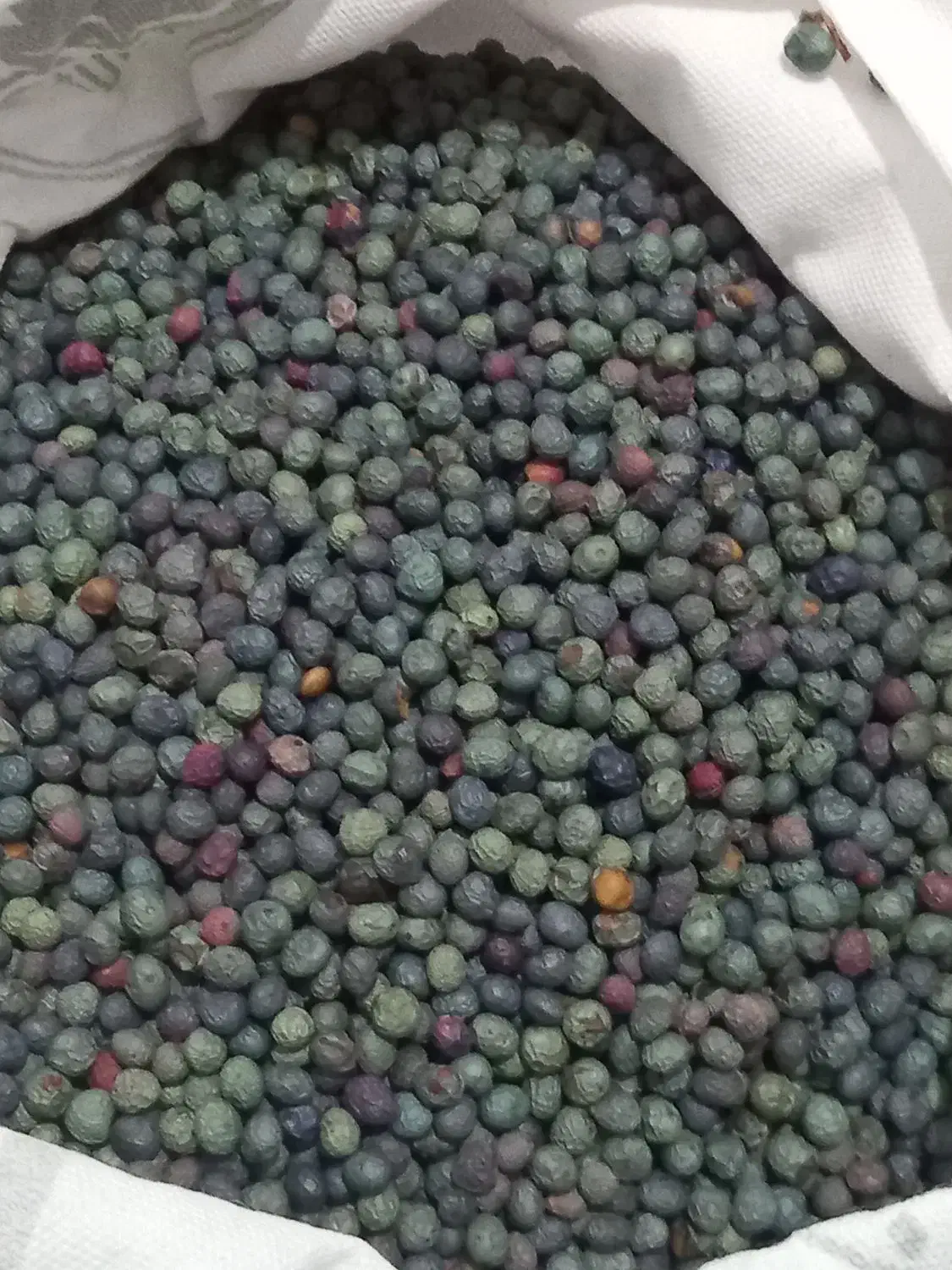 بنه|خوردنی و آشامیدنی|قهستان, |دیوار