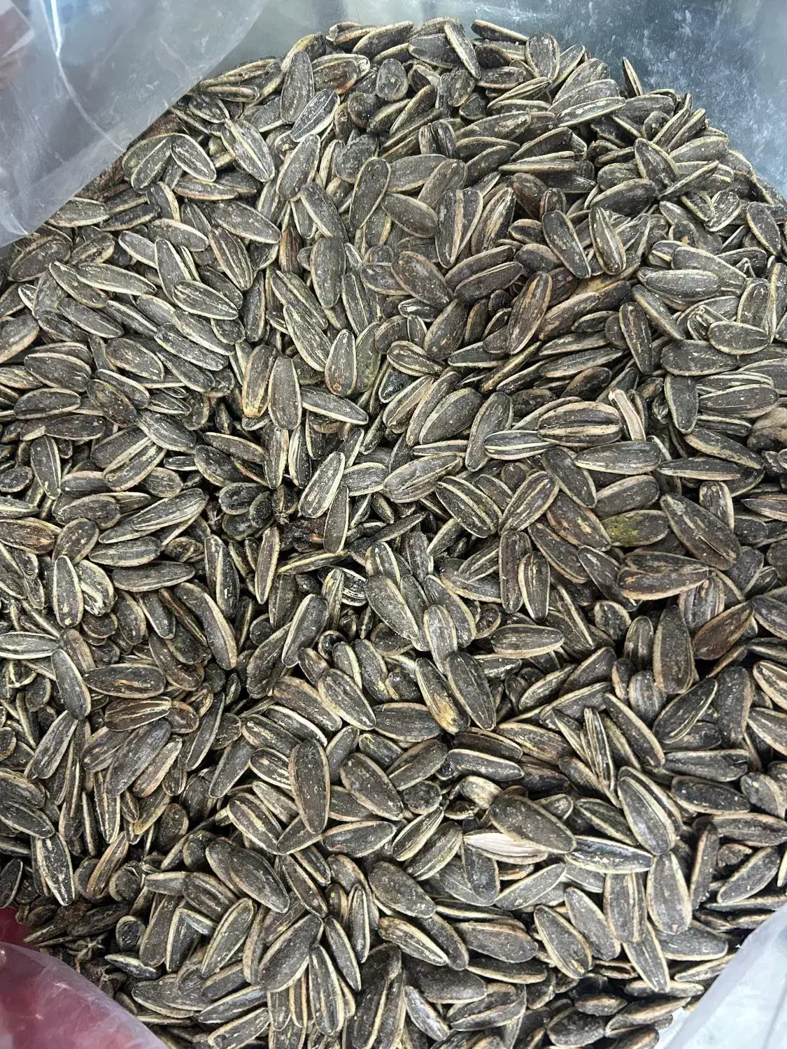 تخمه آفتابگردان|خوردنی و آشامیدنی|تهران, شهرآرا|دیوار