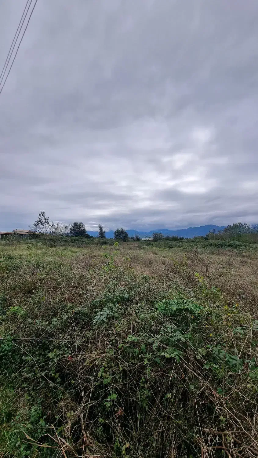 ۱۲ هزار متر با سند/مستعد تغییر کاربری|فروش زمین و ملک کلنگی|املش, |دیوار