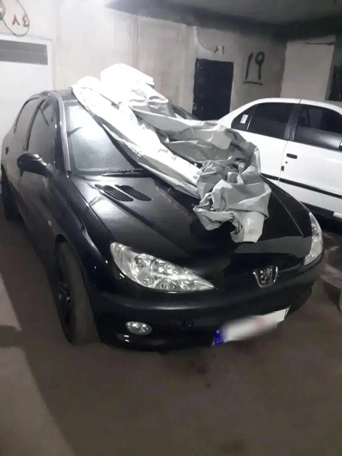 206تیپ3پانامدل401|خودرو سواری و وانت|ری, شهادت|دیوار