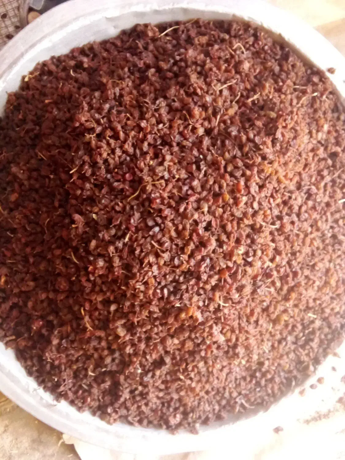 کشمش تیزابی|خوردنی و آشامیدنی|تاکستان, |دیوار