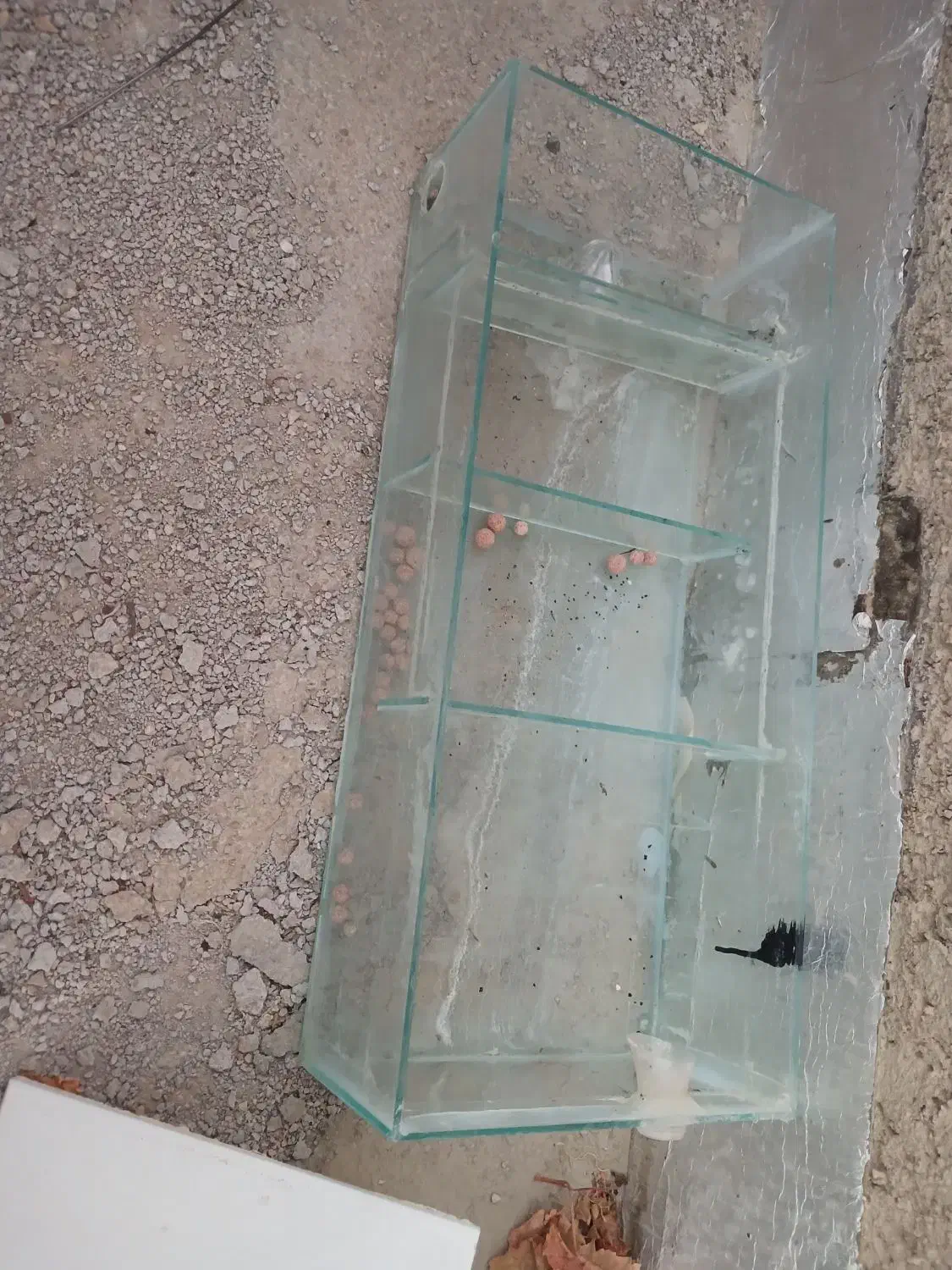 آکواریوم بزرگ|ماهی|بجنورد, |دیوار