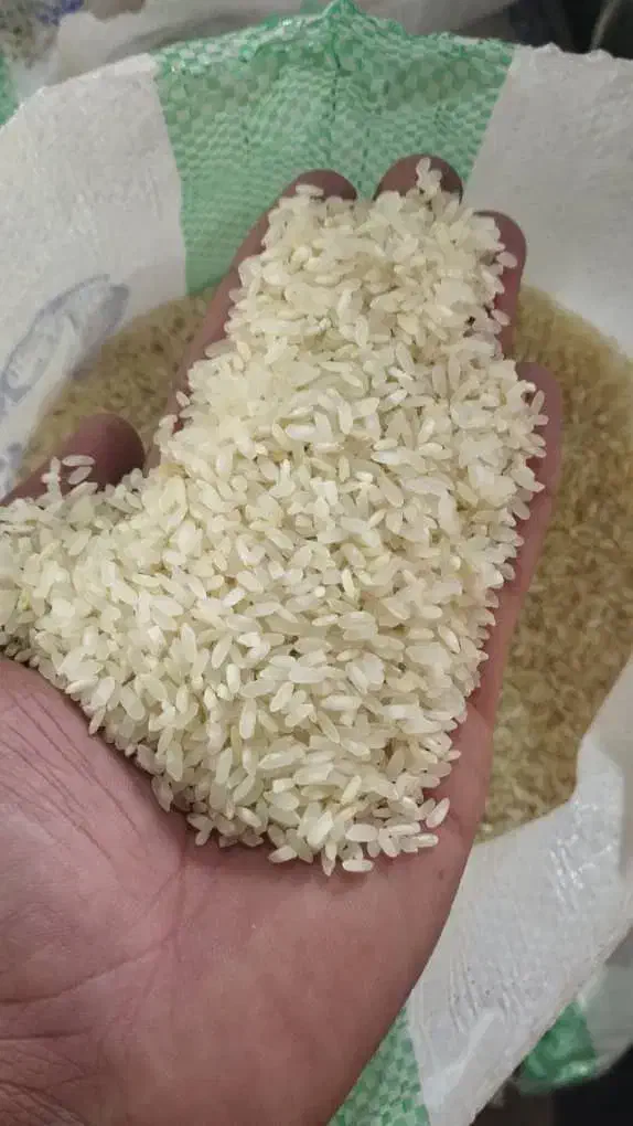 برنج خالص کامفیروزی|خوردنی و آشامیدنی|درودزن, |دیوار